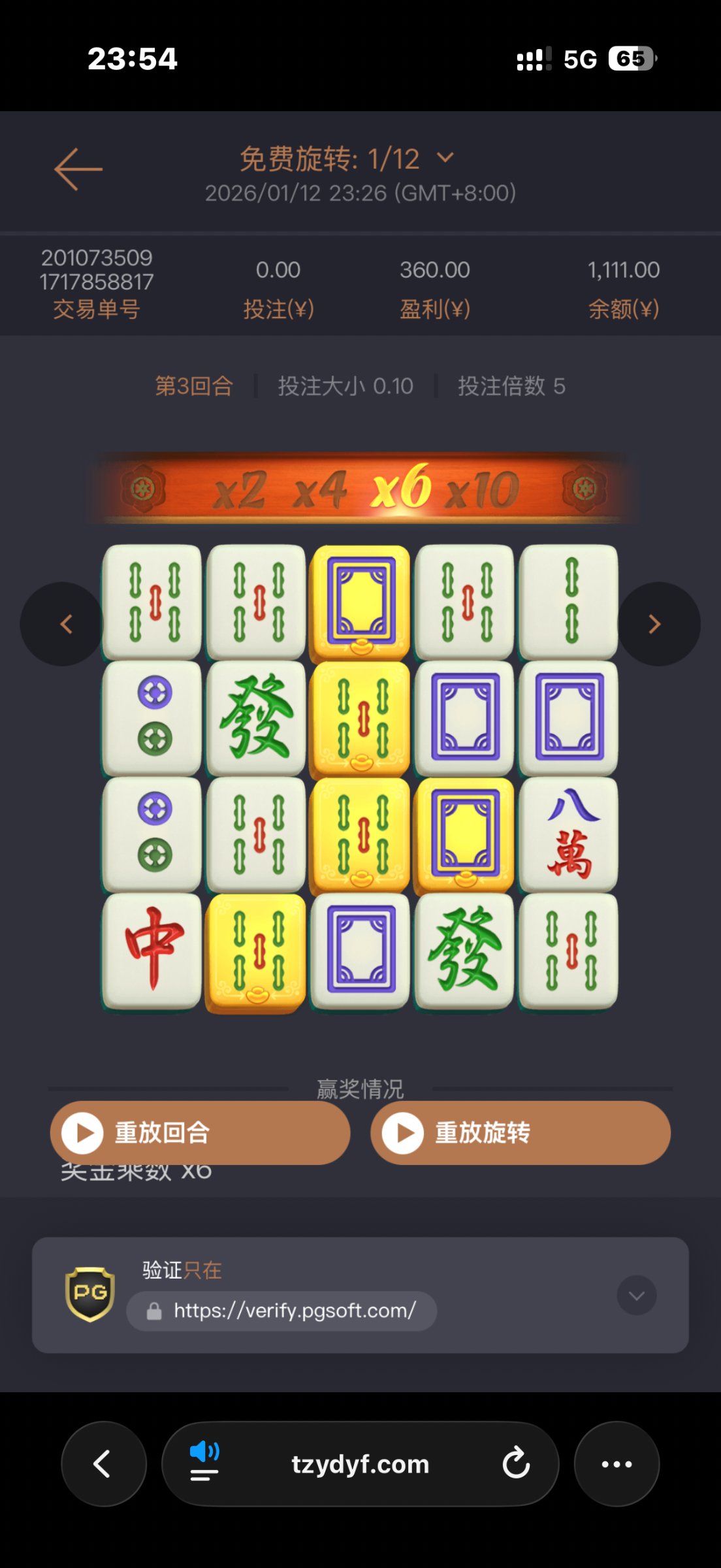 IMG_5339.png